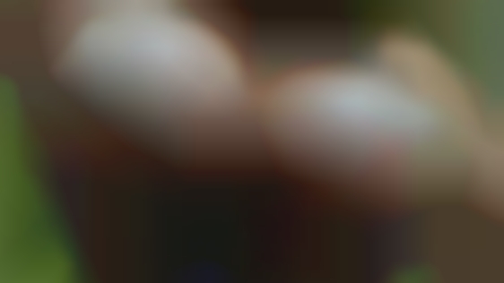 Horny women Smithville